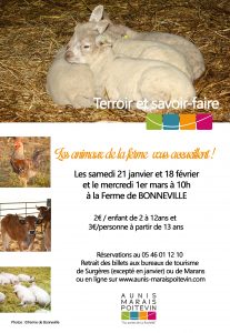 les-animaux-de-la-ferme-1