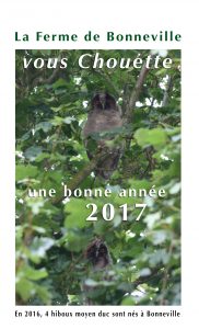 voeux-fdb-2017-1